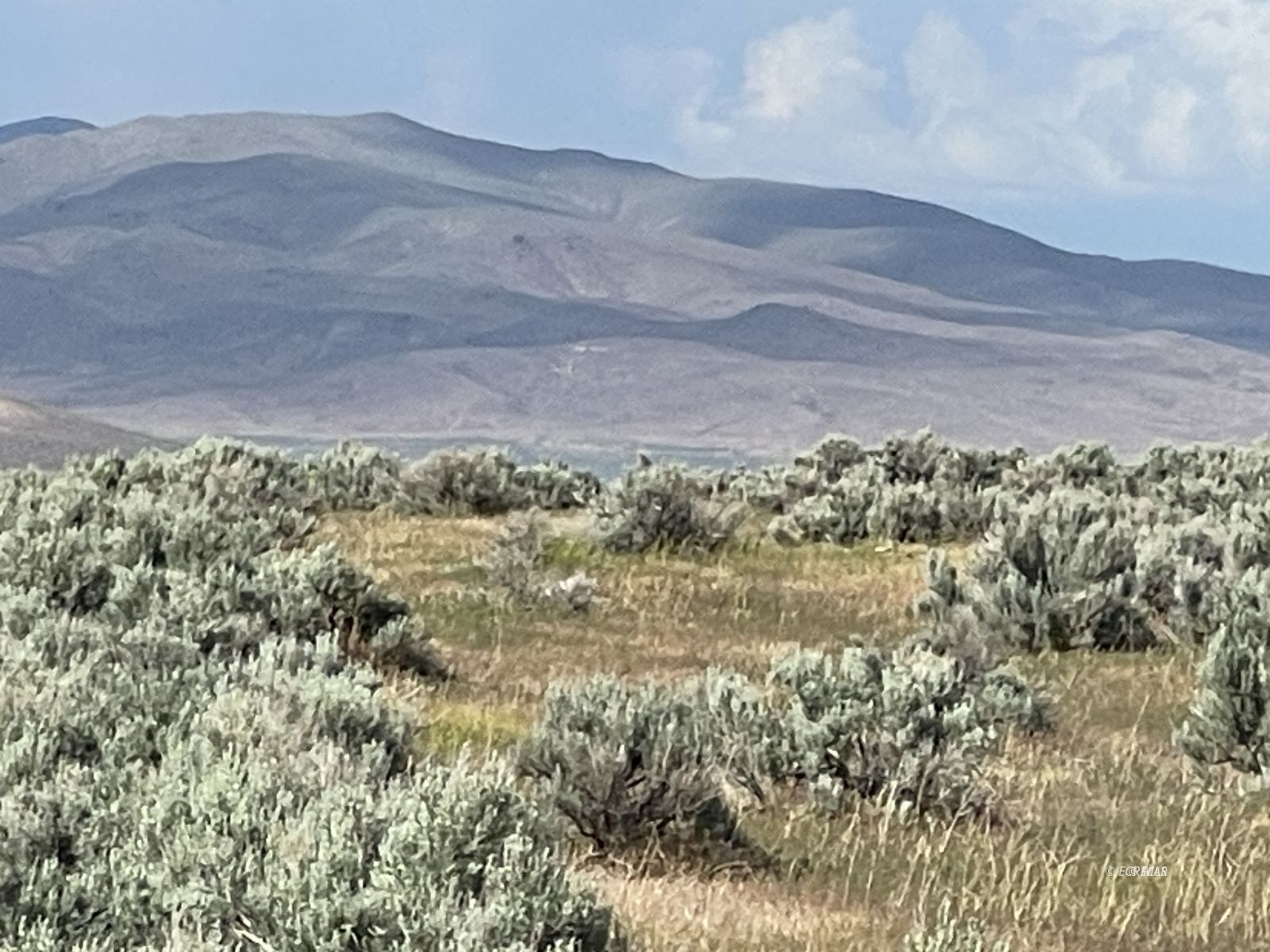 Button Point Property Photo 14