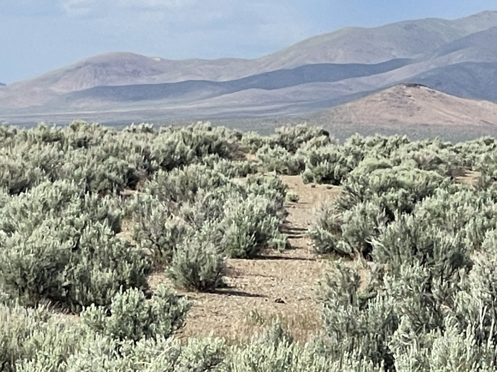 Button Point Property Photo 15