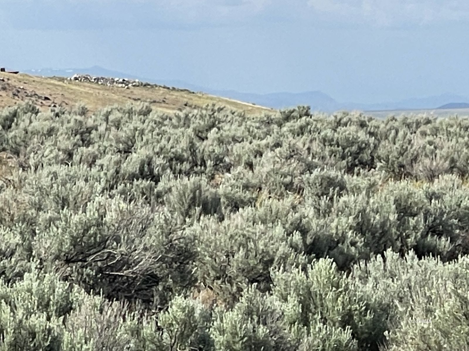 Button Point Property Photo 16