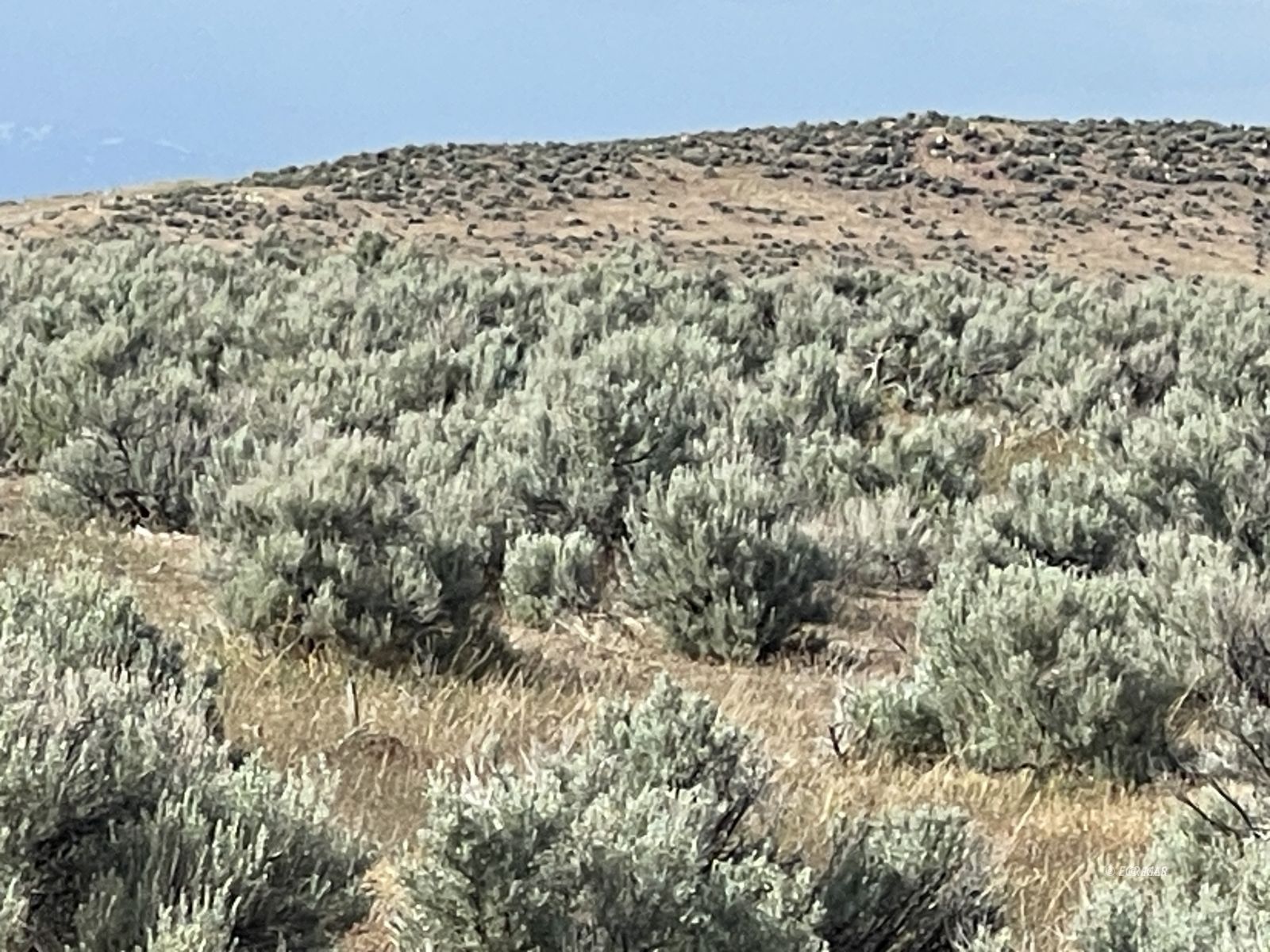 Button Point Property Photo 17
