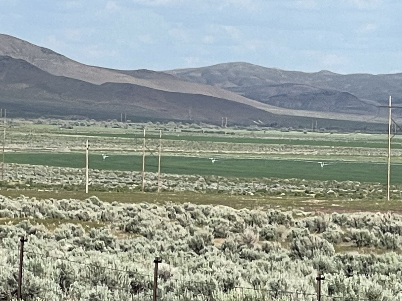 Button Point Property Photo 19