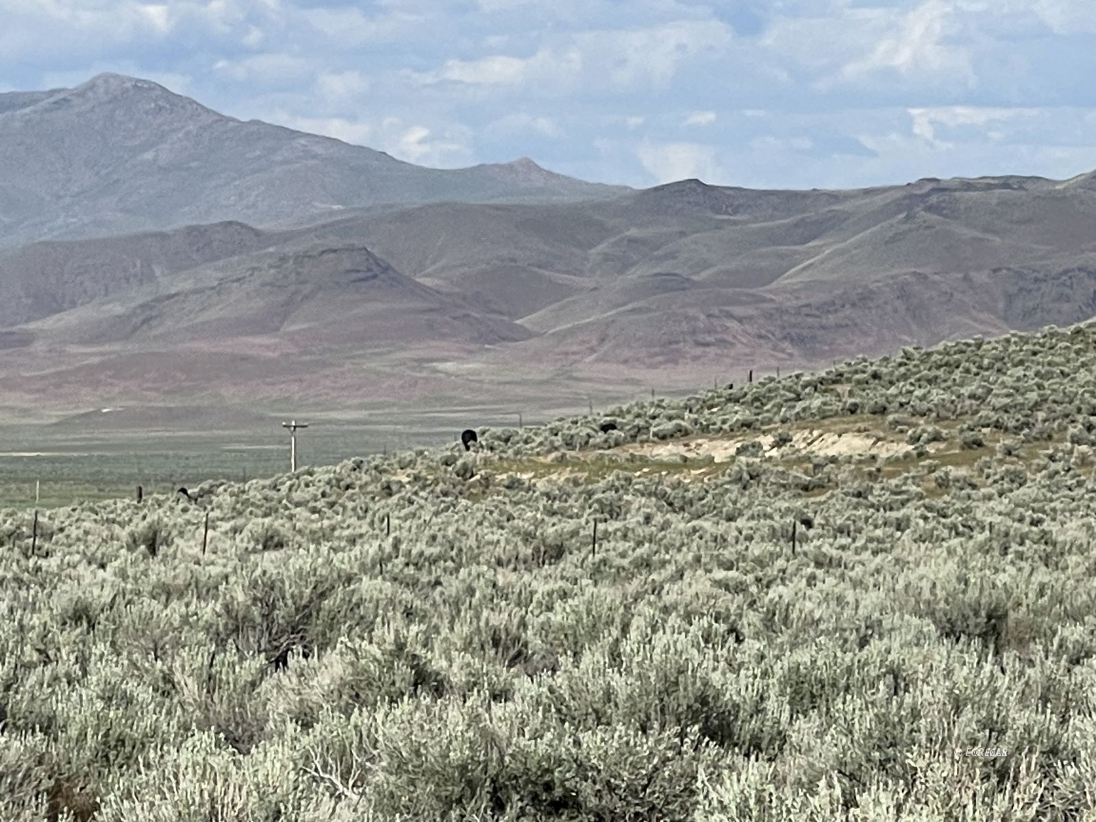 Button Point Property Photo 22