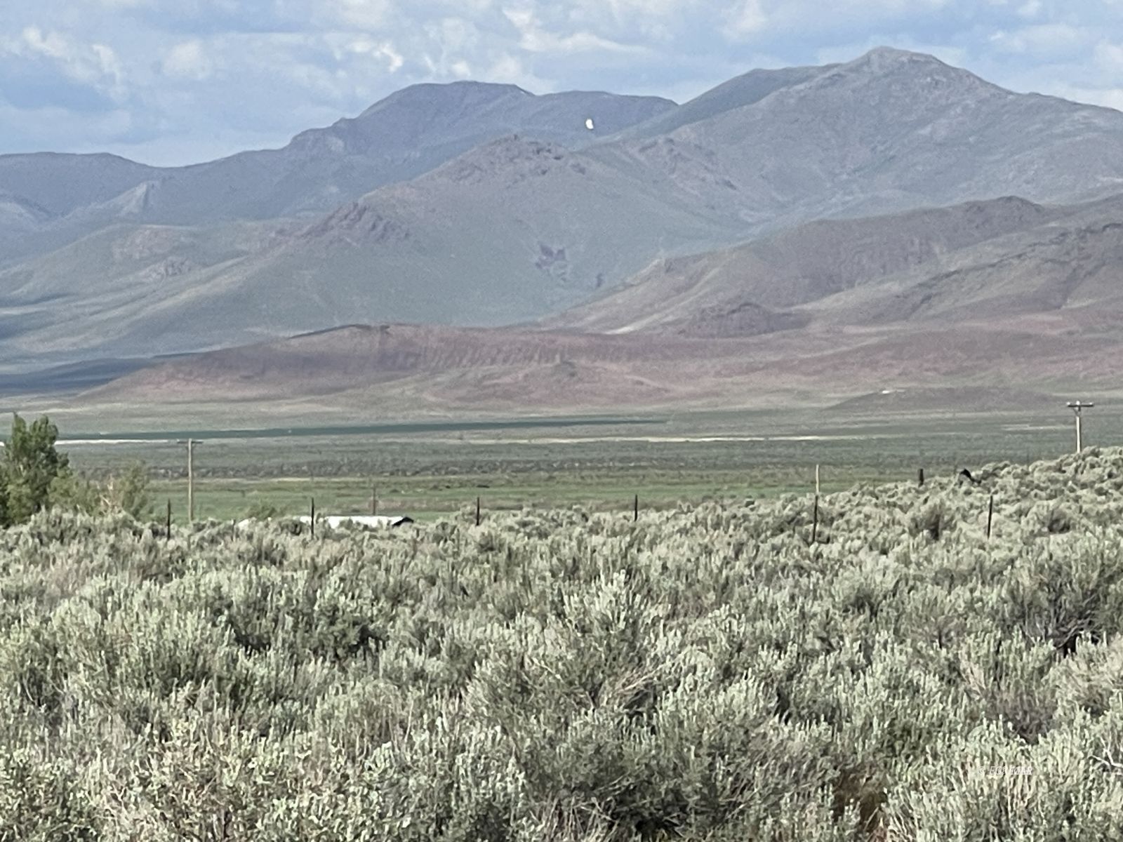 Button Point Property Photo 23