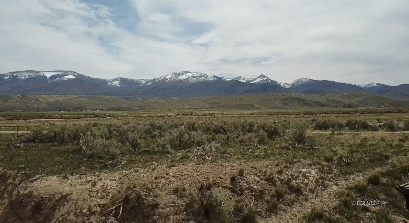 3 Lower Starr Valley Road Property Photo 5