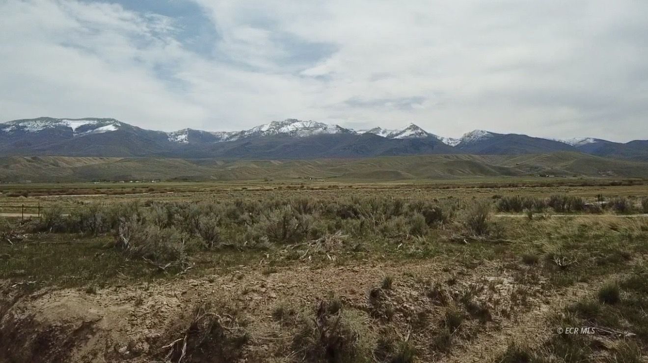 3 Lower Starr Valley Road Property Photo 6