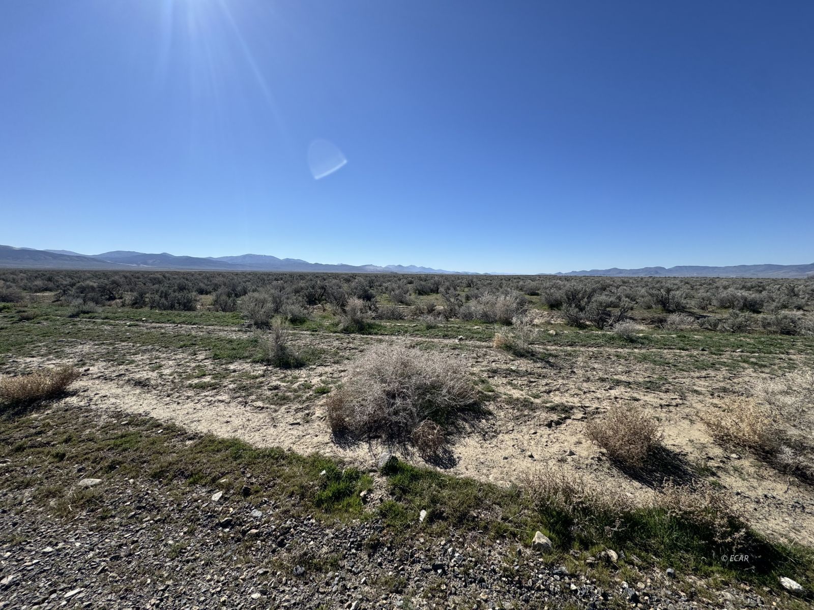 Filippini Ranch Road Property Photo 3