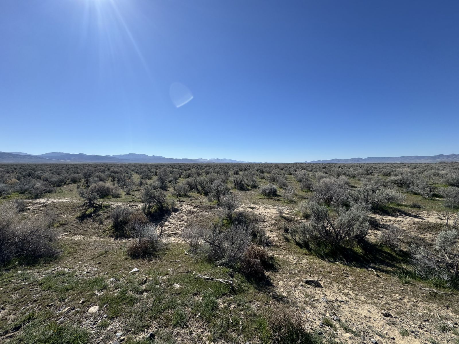 Filippini Ranch Road Property Photo 4