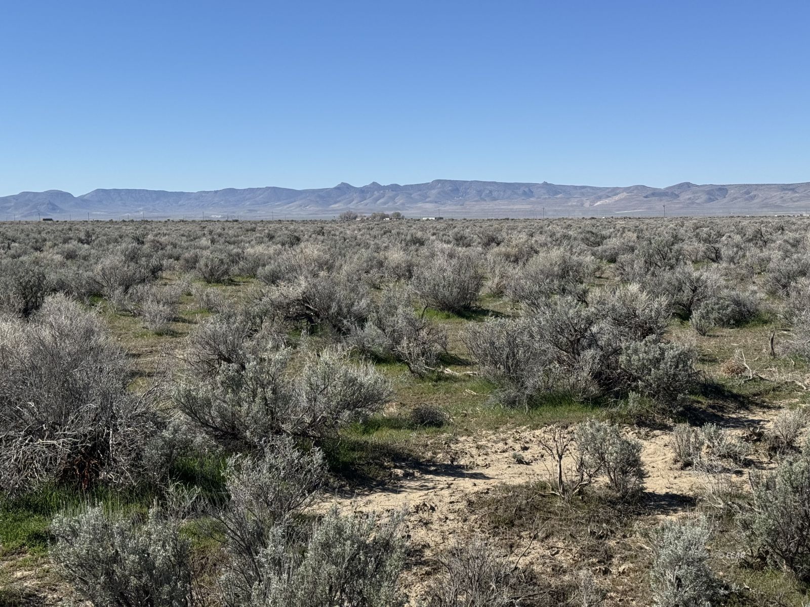 Filippini Ranch Road Property Photo 5