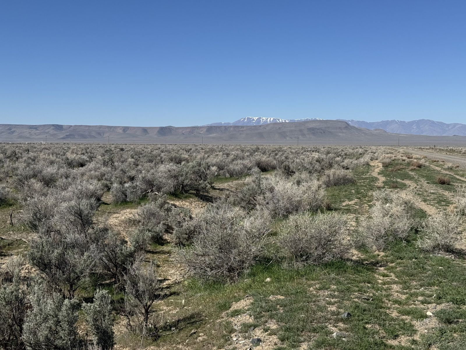 Filippini Ranch Road Property Photo 6
