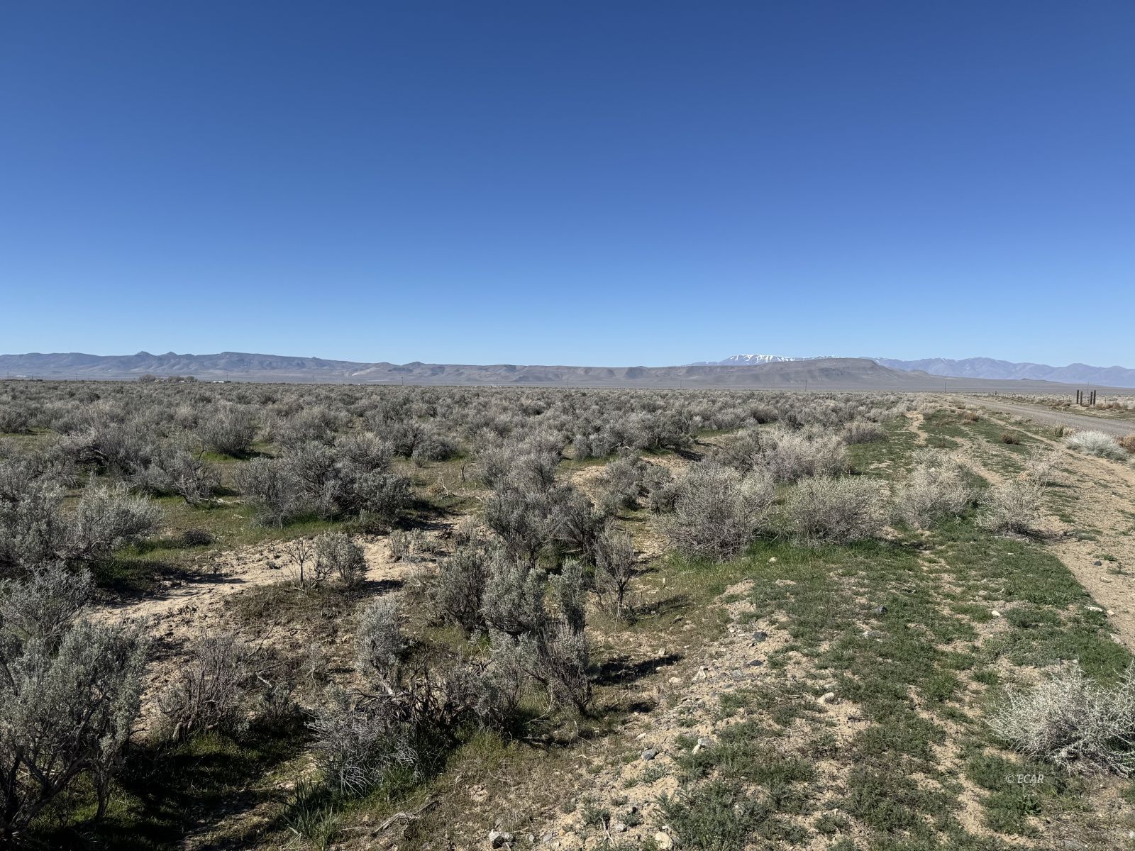 Filippini Ranch Road Property Photo 7