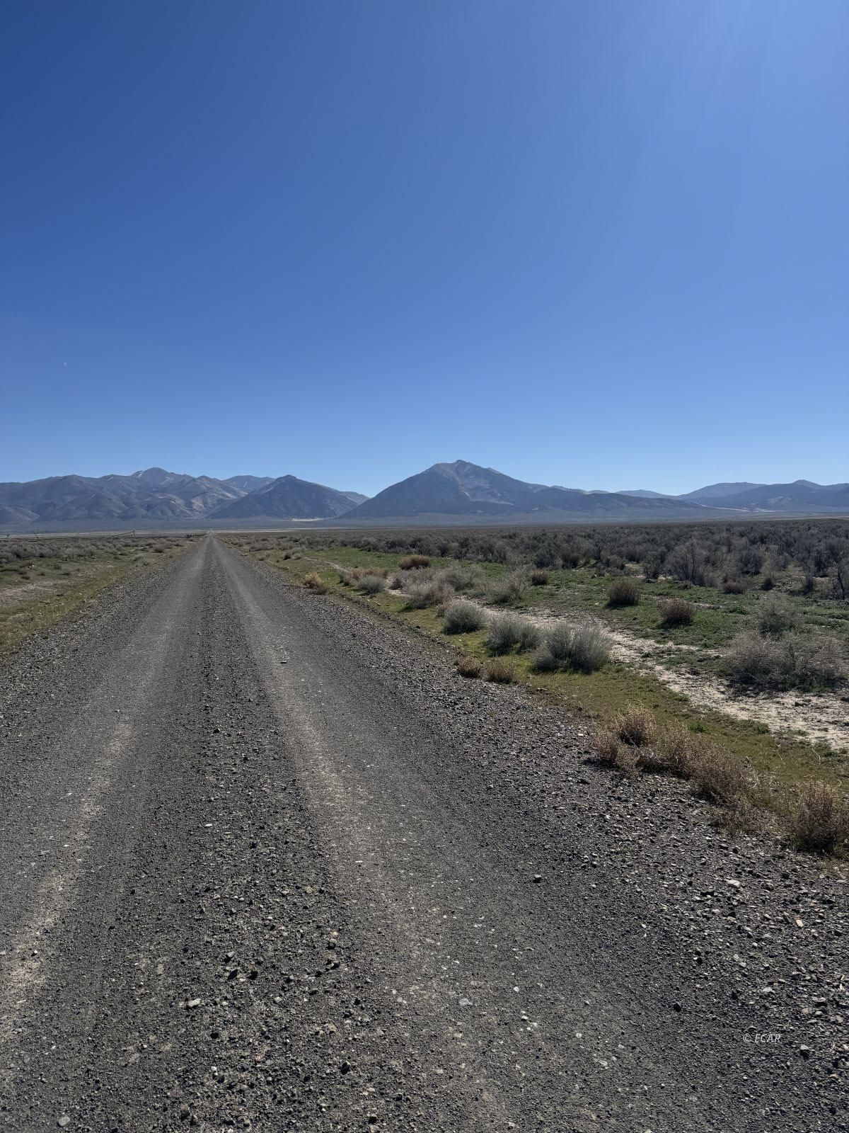 Filippini Ranch Road Property Photo 8