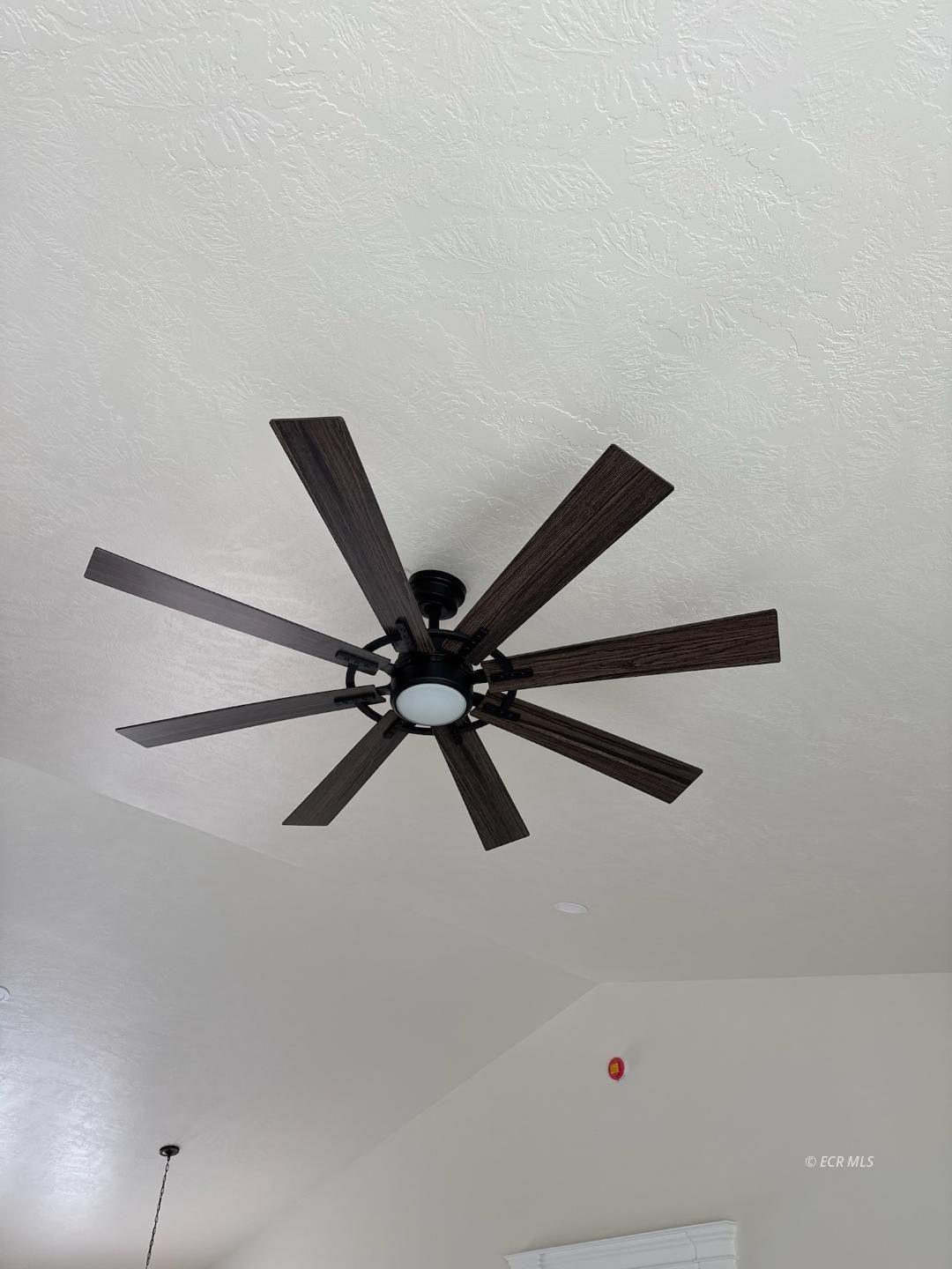 715 Aesop Drive Property Photo 5