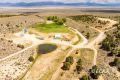 1090 W Cherry Creek Road Picture