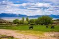 1090 W Cherry Creek Road Property Photo 4