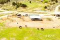 1090 W Cherry Creek Road Property Photo 9