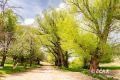1090 W Cherry Creek Road Property Photo 10