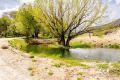 1090 W Cherry Creek Road Property Photo 11