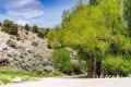 1090 W Cherry Creek Road Property Photo 19