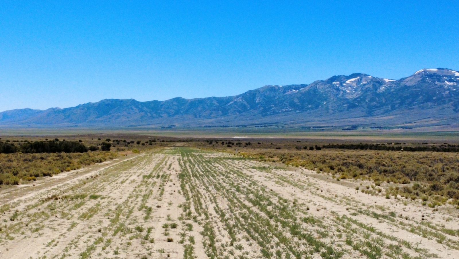 Bbk 634 Acre Parcel Property Photo 4