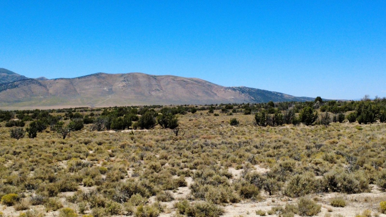 Bbk 634 Acre Parcel Property Photo 10