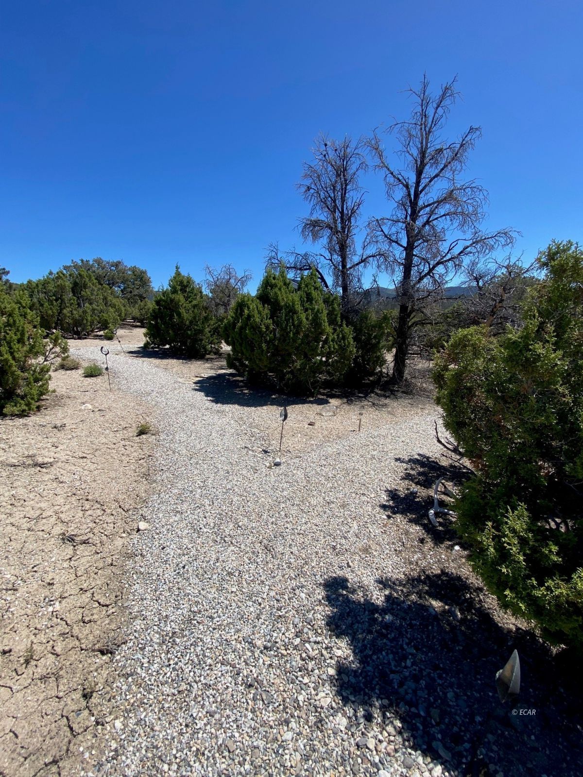 Bbk 634 Acre Parcel Property Photo 22