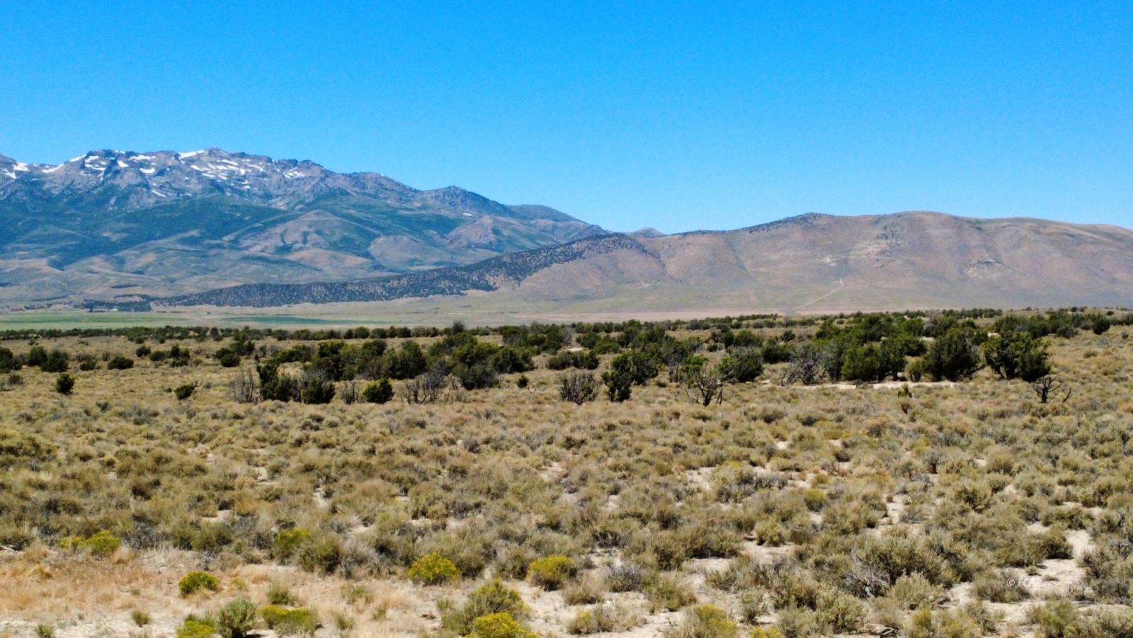 Bbk 634 Acre Parcel Property Photo 41