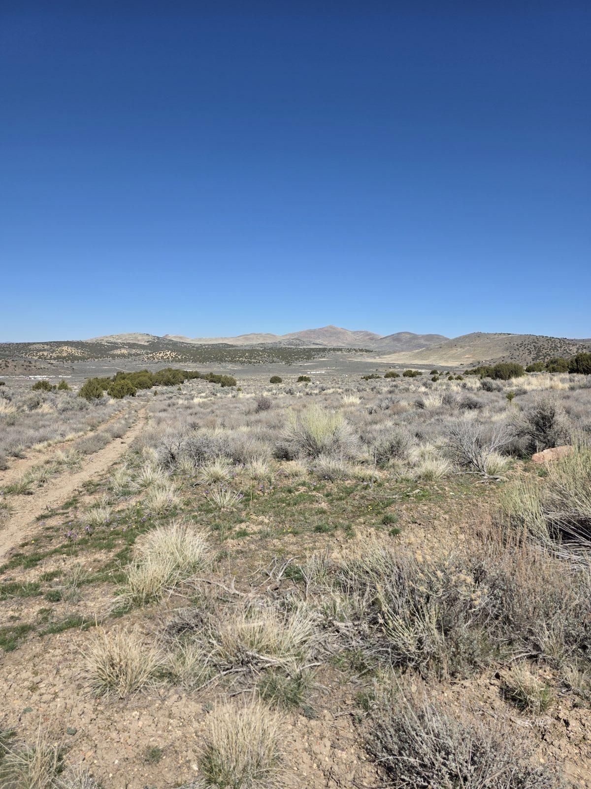 TBD Bullion Avenue Property Photo 1