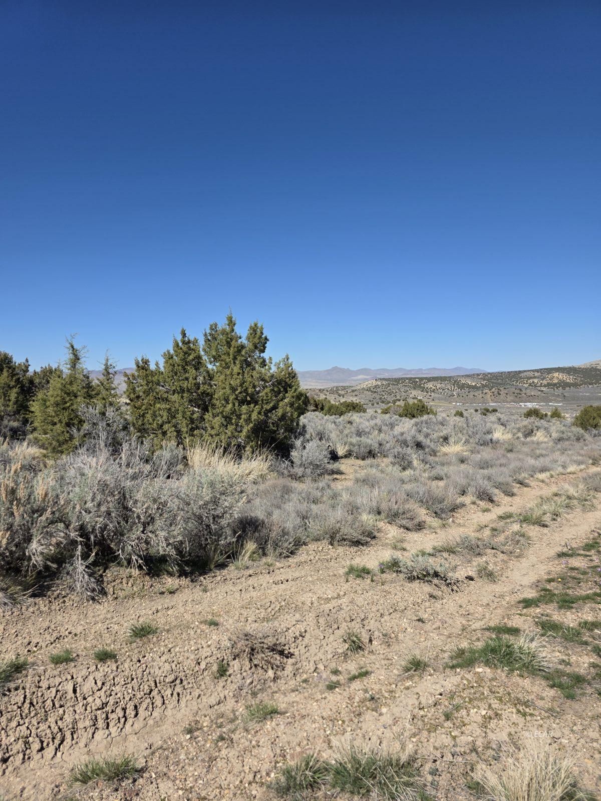 Tbd Bullion Avenue Property Photo 2