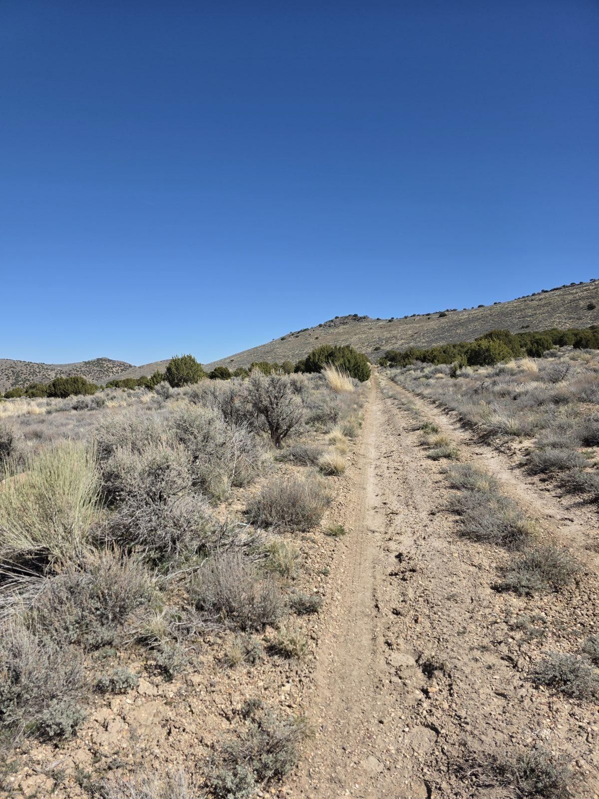 Tbd Bullion Avenue Property Photo 4