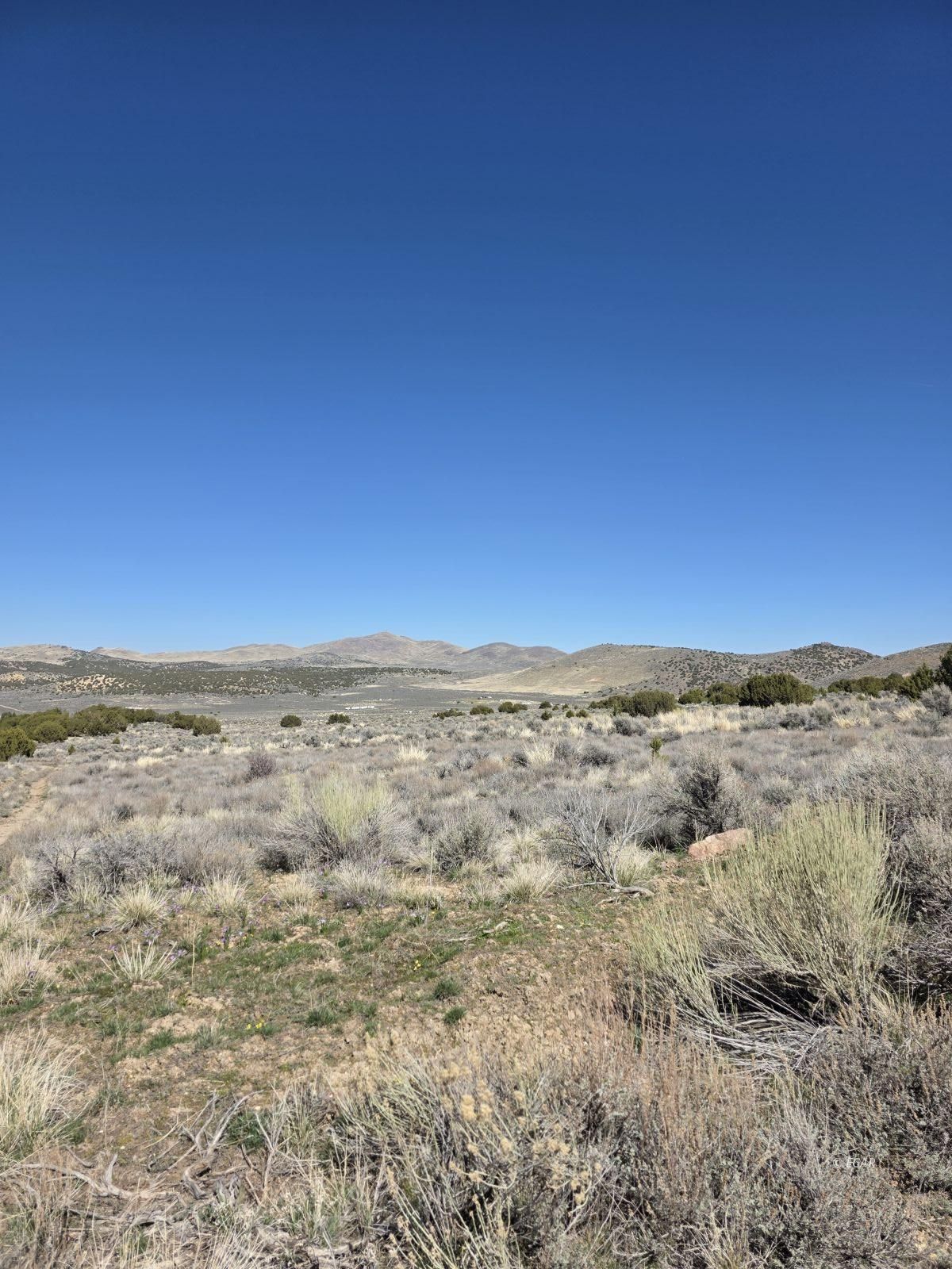Tbd Bullion Avenue Property Photo 5