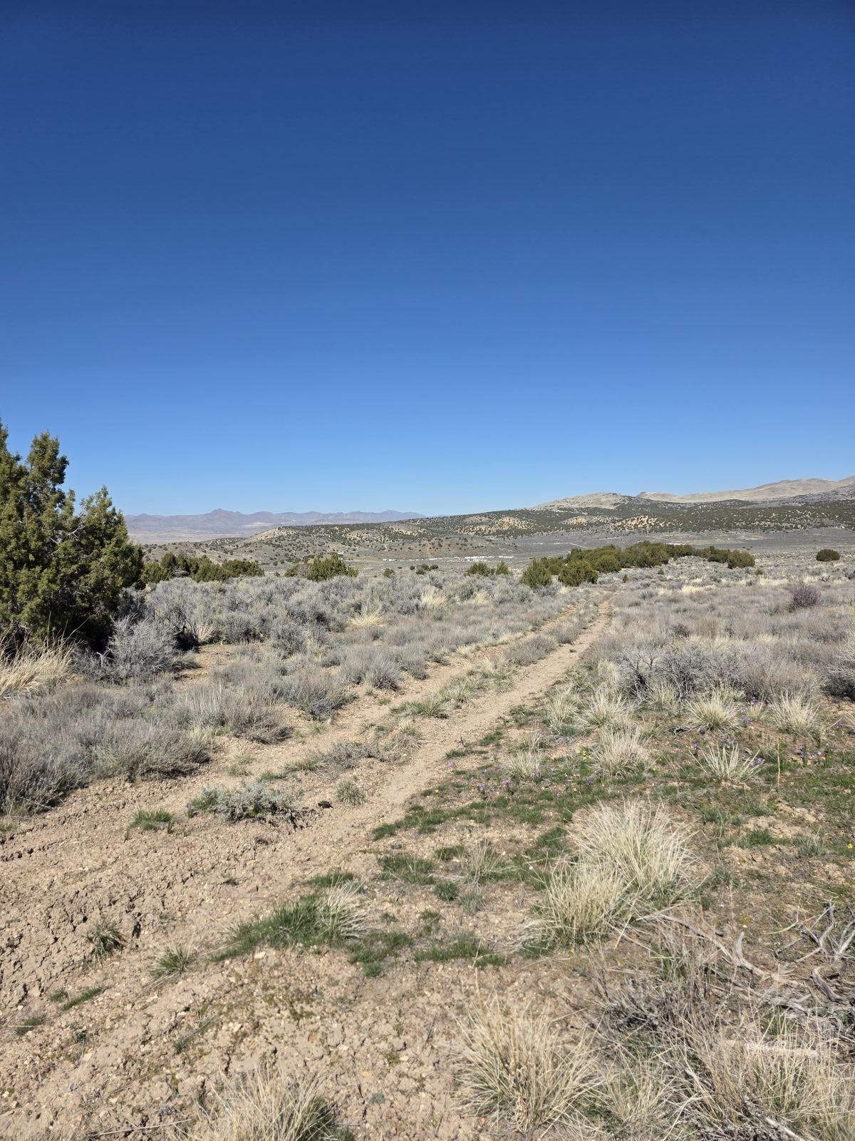 Tbd Bullion Avenue Property Photo 6
