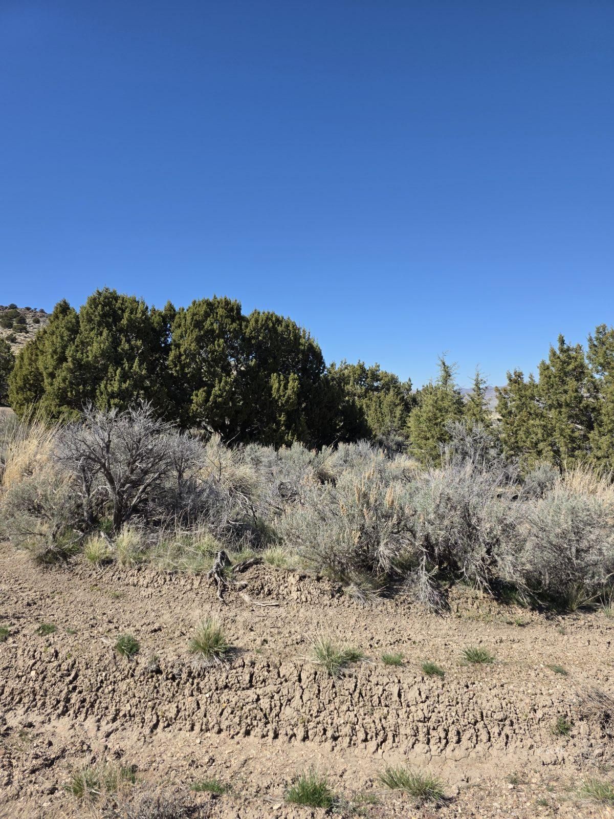 Tbd Bullion Avenue Property Photo 7