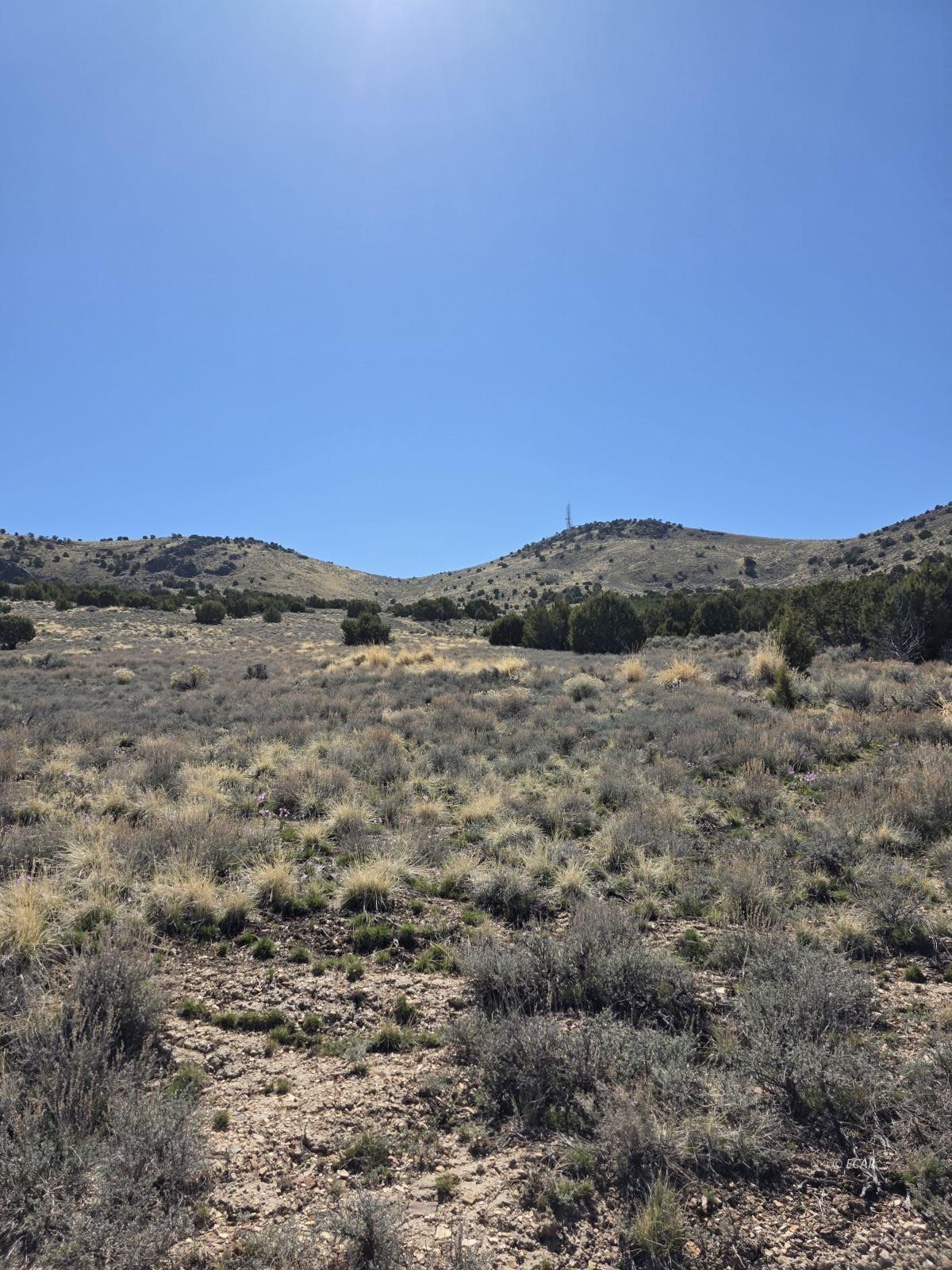 Tbd Bullion Avenue Property Photo 8