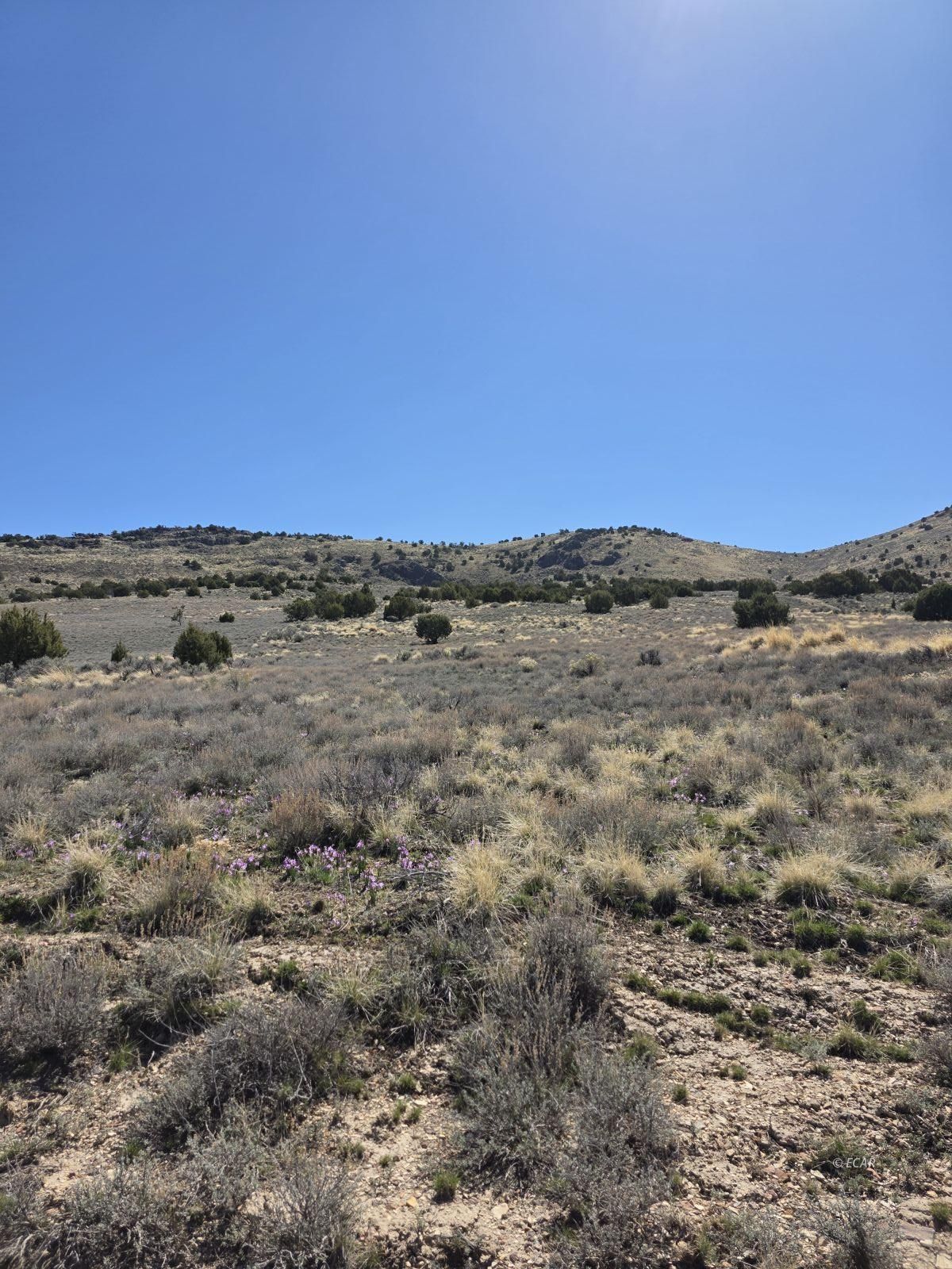 Tbd Bullion Avenue Property Photo 9