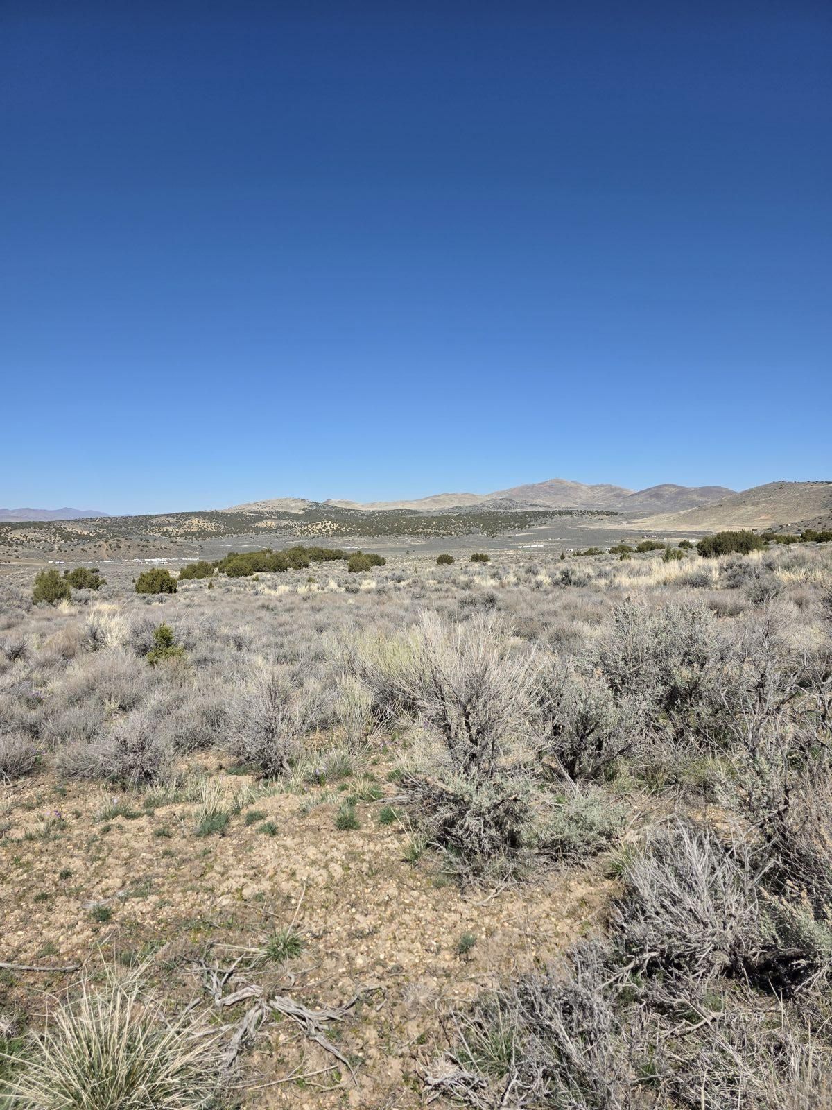 Tbd Bullion Avenue Property Photo 11