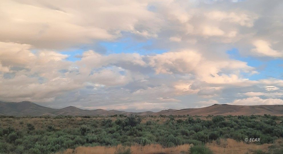 3551 Us Hwy 93 N Highway Property Photo 11