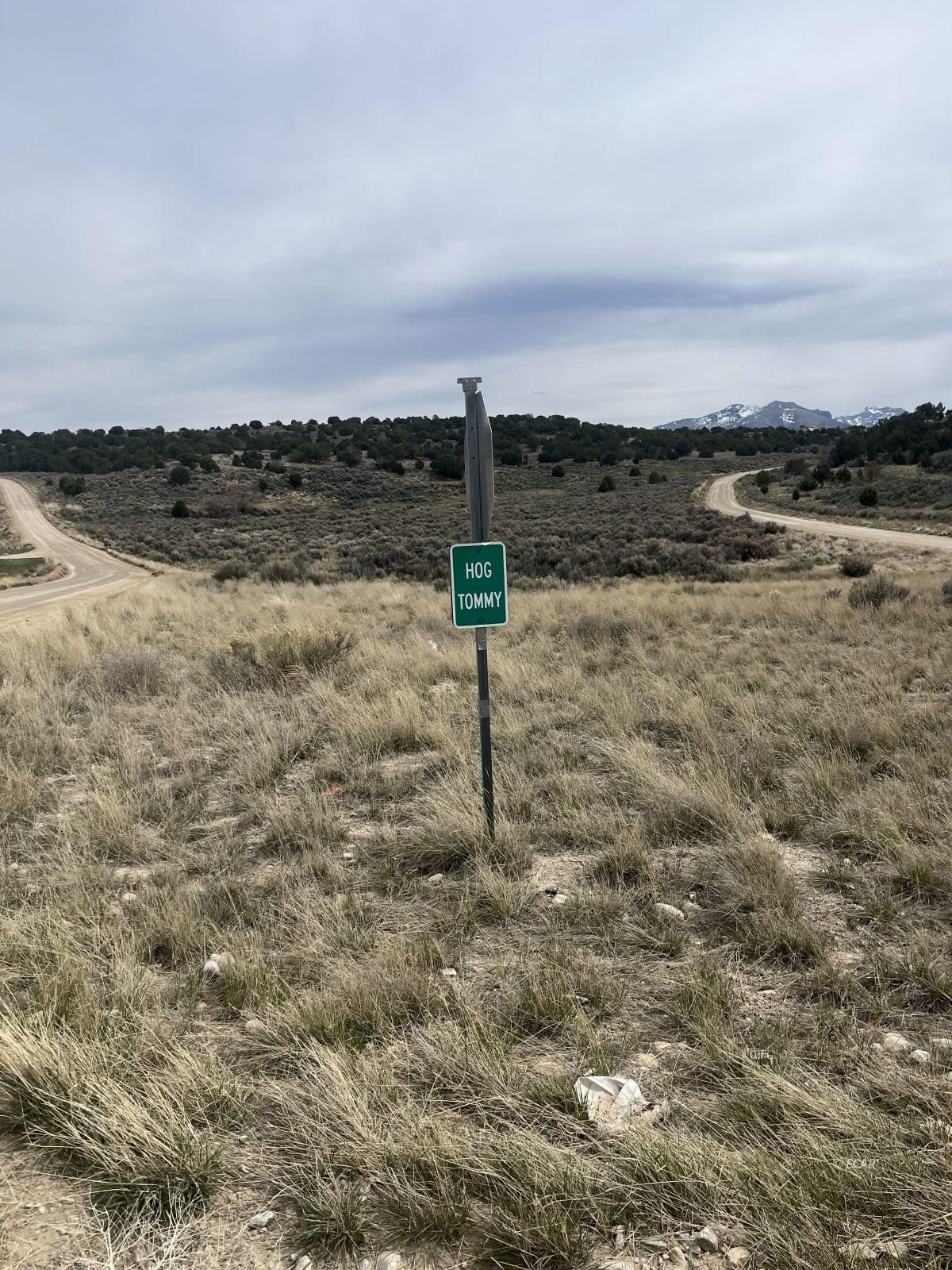 Lower Lamoille/hog Tommy Road Property Photo 1