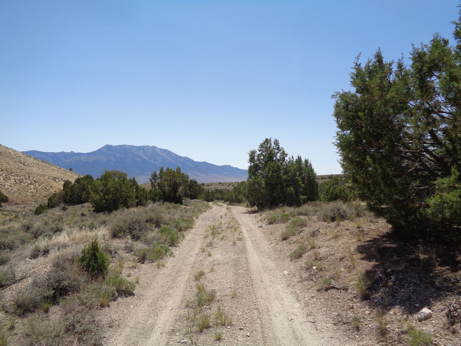 010-35p-044 T38n R68e S35 Parcel Property Photo 3