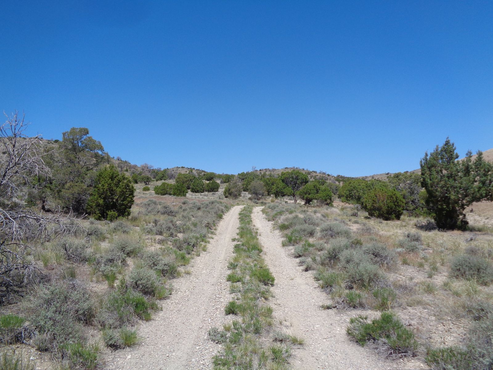 010-35p-044 T38n R68e S35 Parcel Property Photo 4