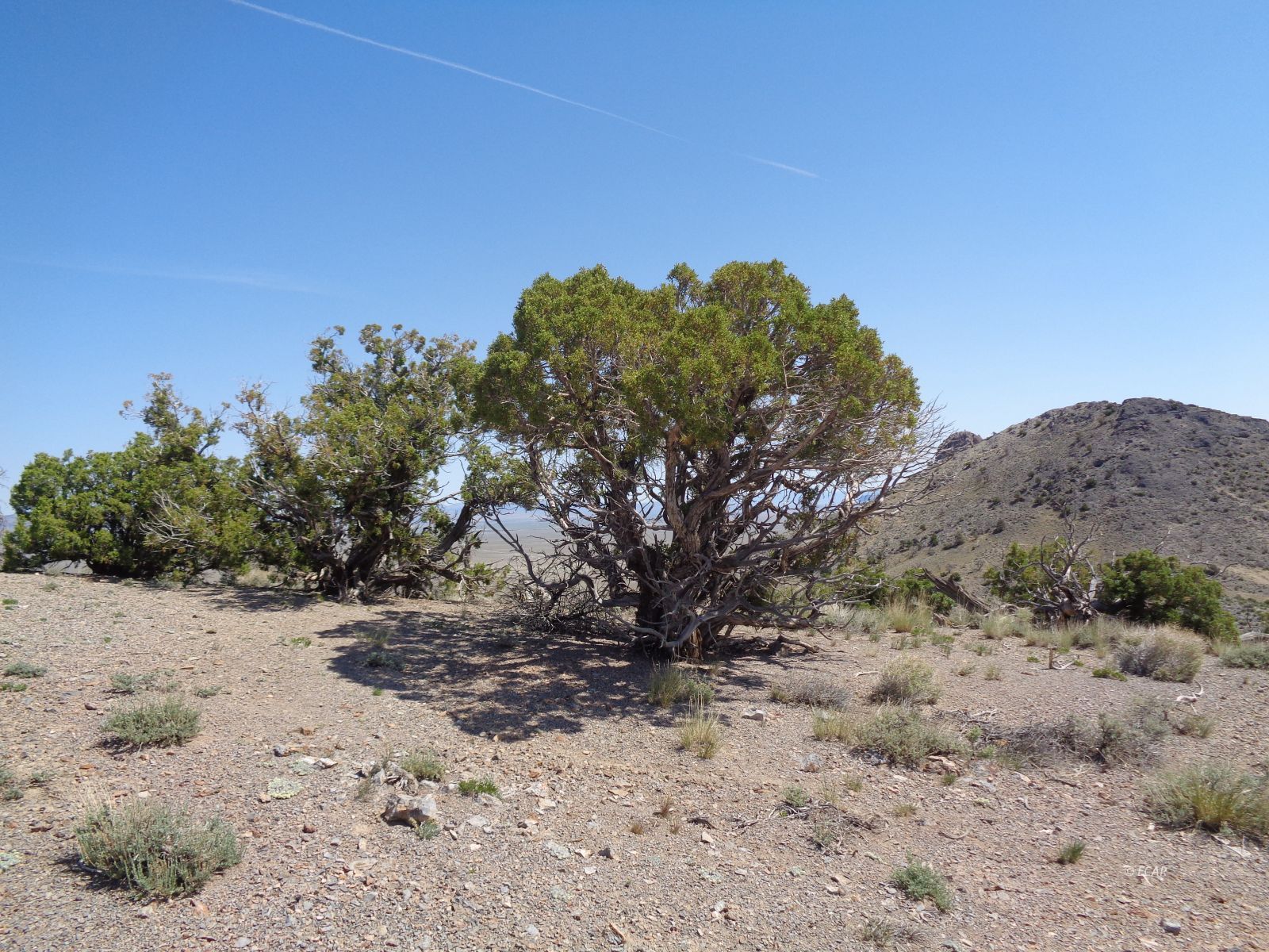 010-35p-044 T38n R68e S35 Parcel Property Photo 19