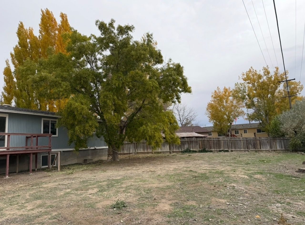 894 Gold Creek Avenue Property Photo 17