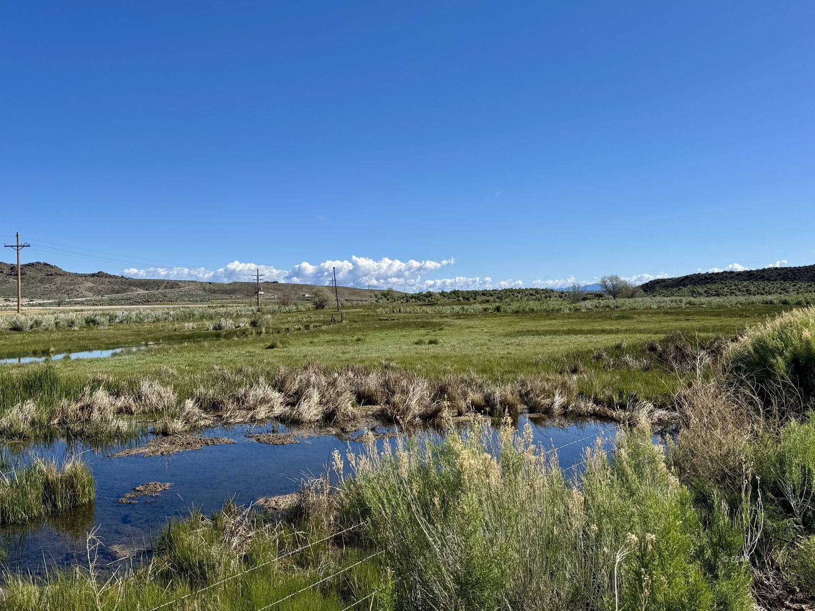 9393 N Us 93 Highway Property Photo 39