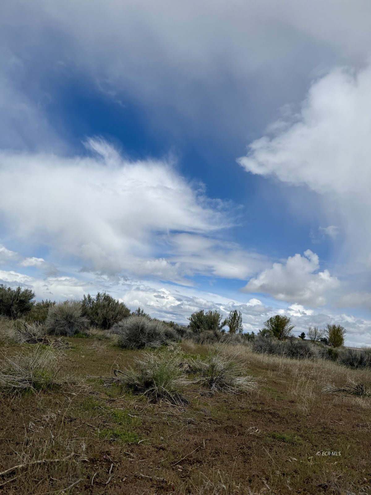 1 Sawtooth Way Property Photo 13