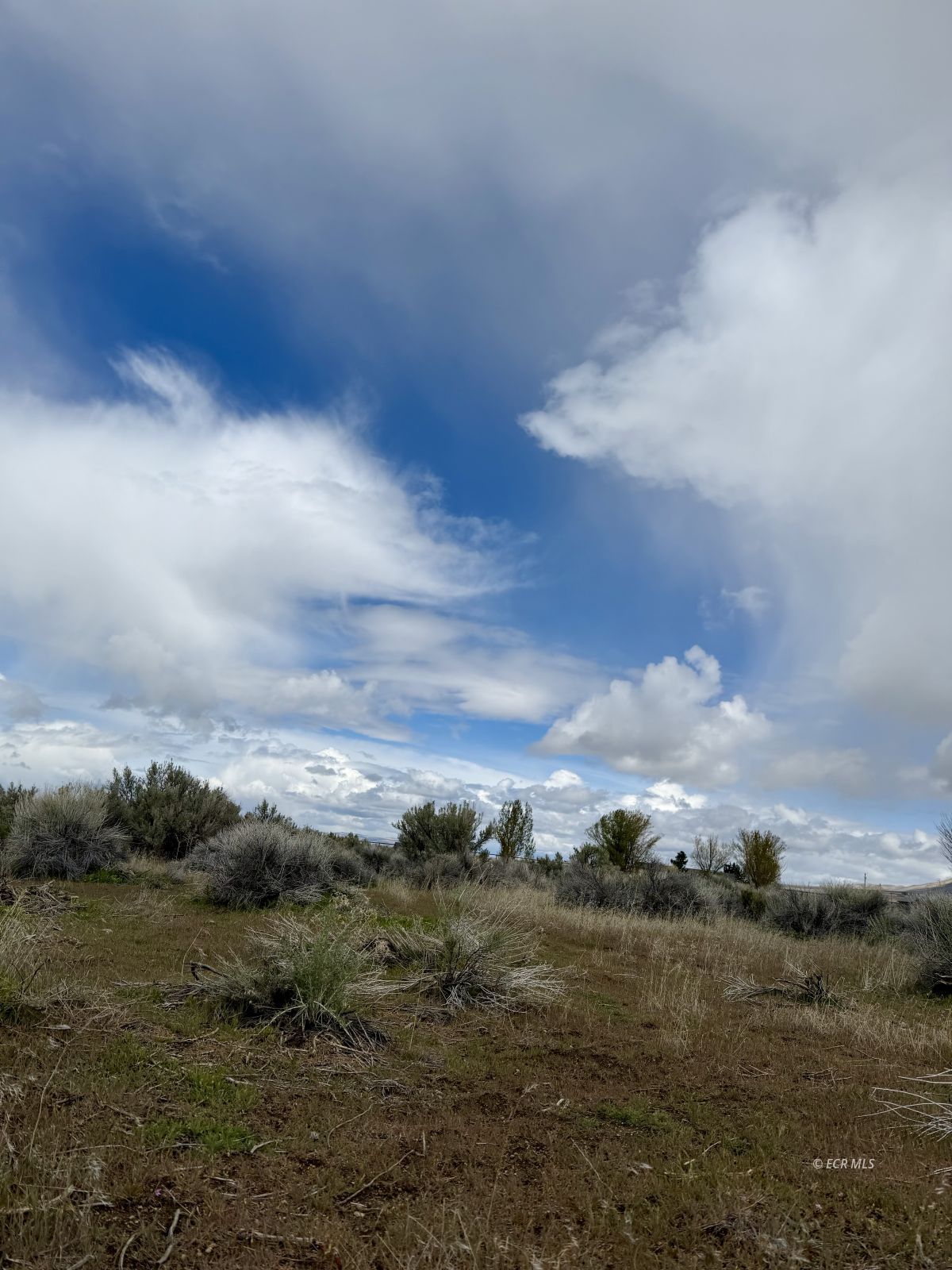 1 Sawtooth Way Property Photo 17