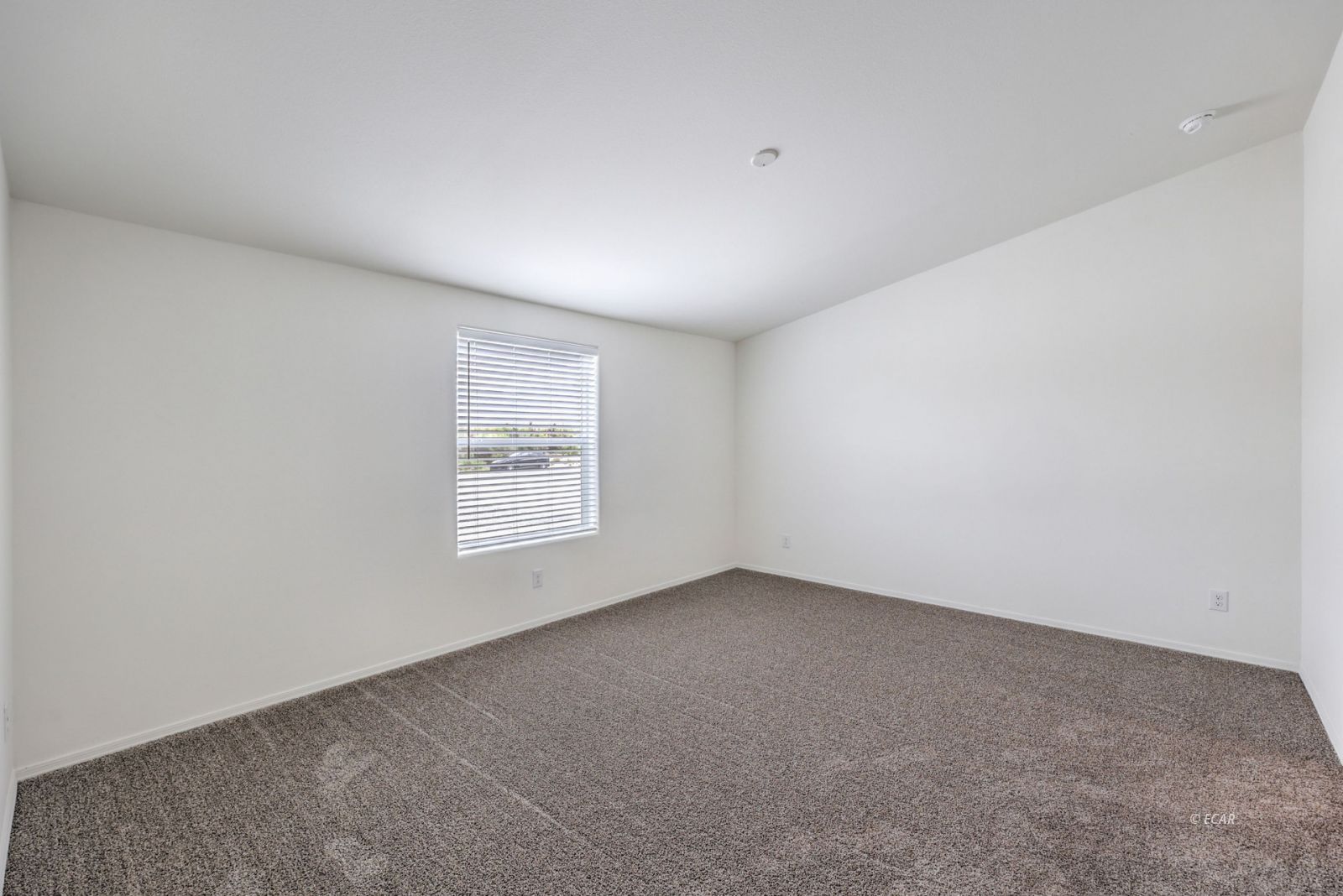 381 E Pechstein Drive Property Photo 19