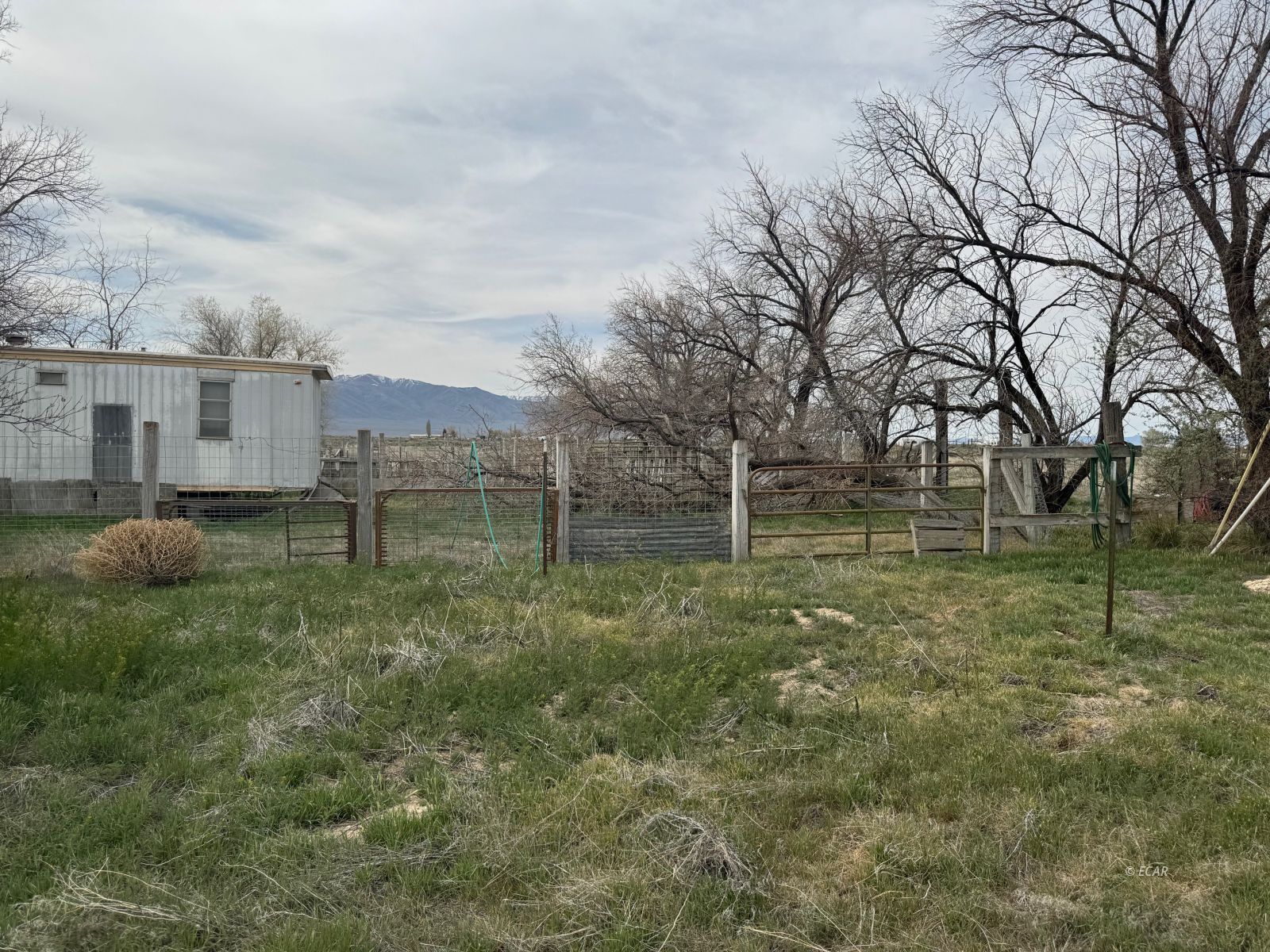 1834 1825 East Property Photo 4