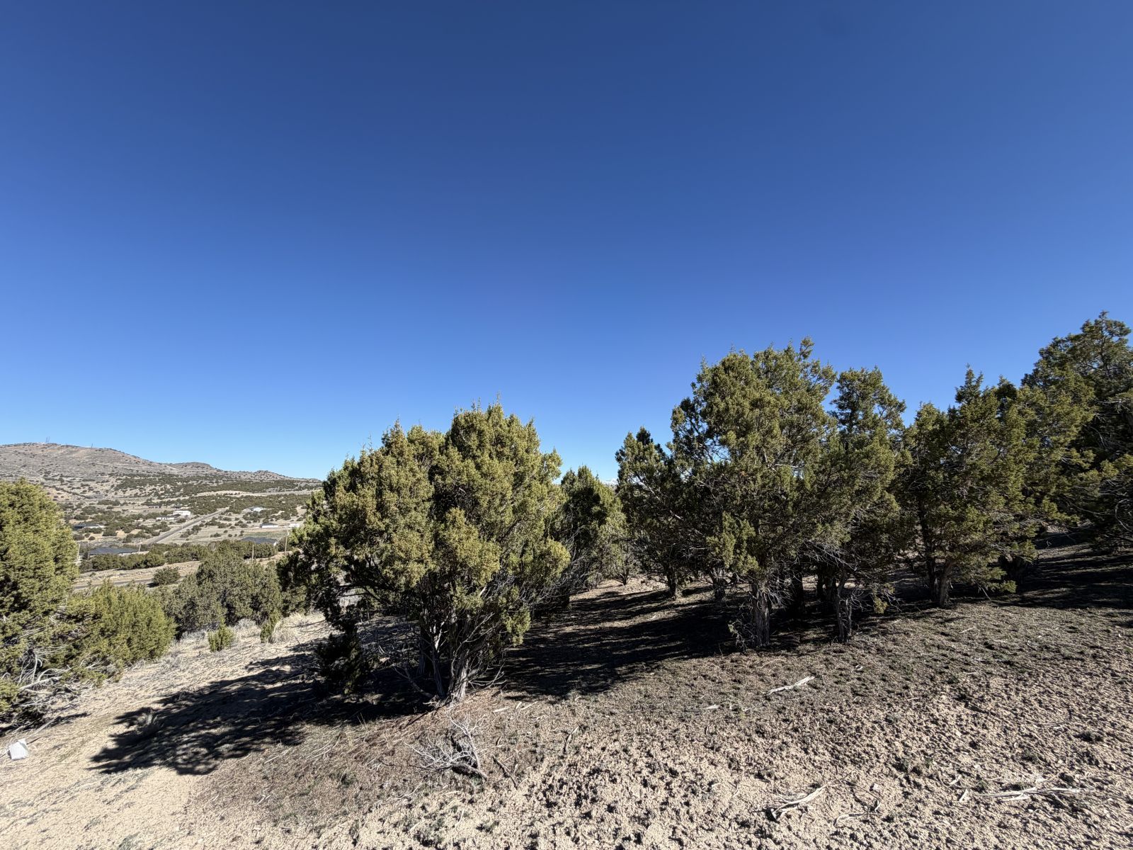 Andy's Way Property Photo 1