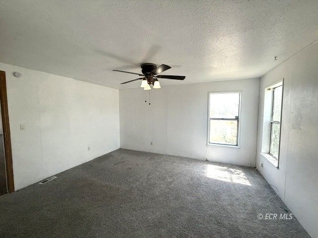 439 Jasper Drive Property Photo 17