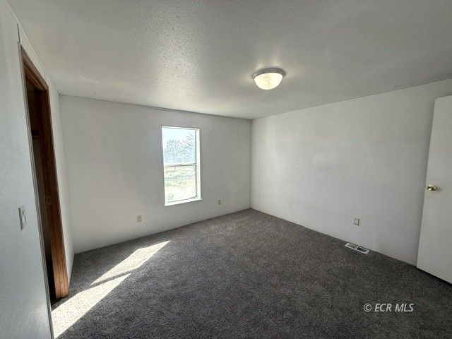 439 Jasper Drive Property Photo 19
