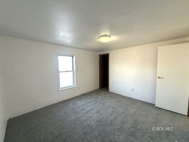439 Jasper Drive Property Photo 23